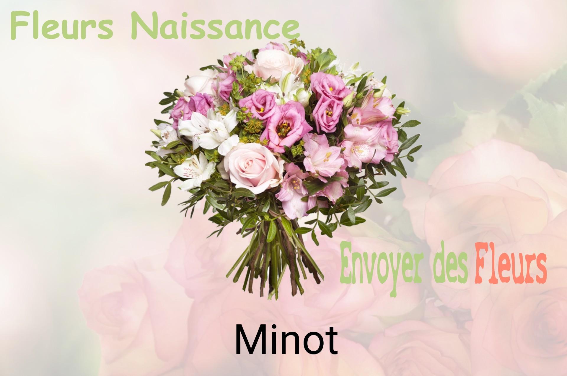 Bouquet de fleurs de naissance livré à Minot